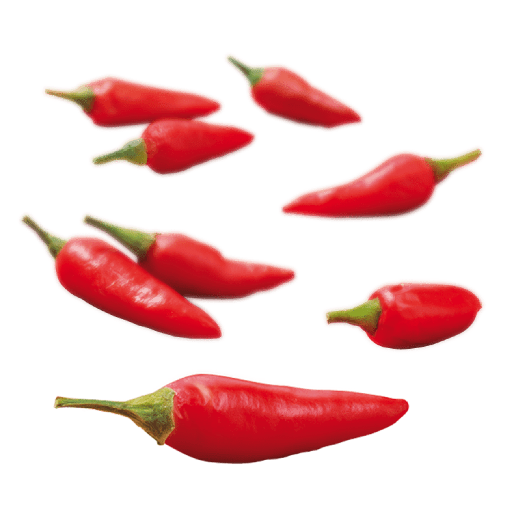 Bird's Eye Chilli - Eco-Fruits: Fruits Exporter