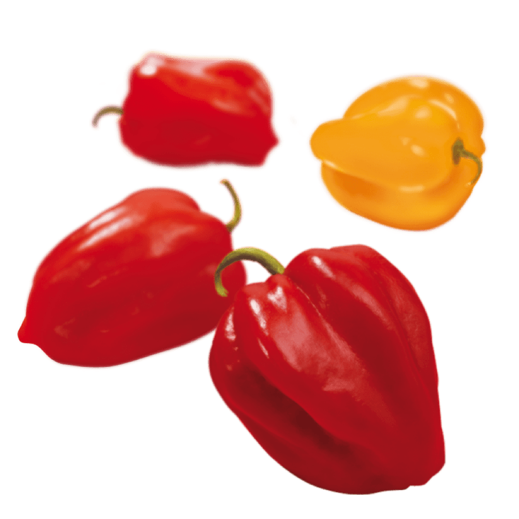 schwebende Paprika