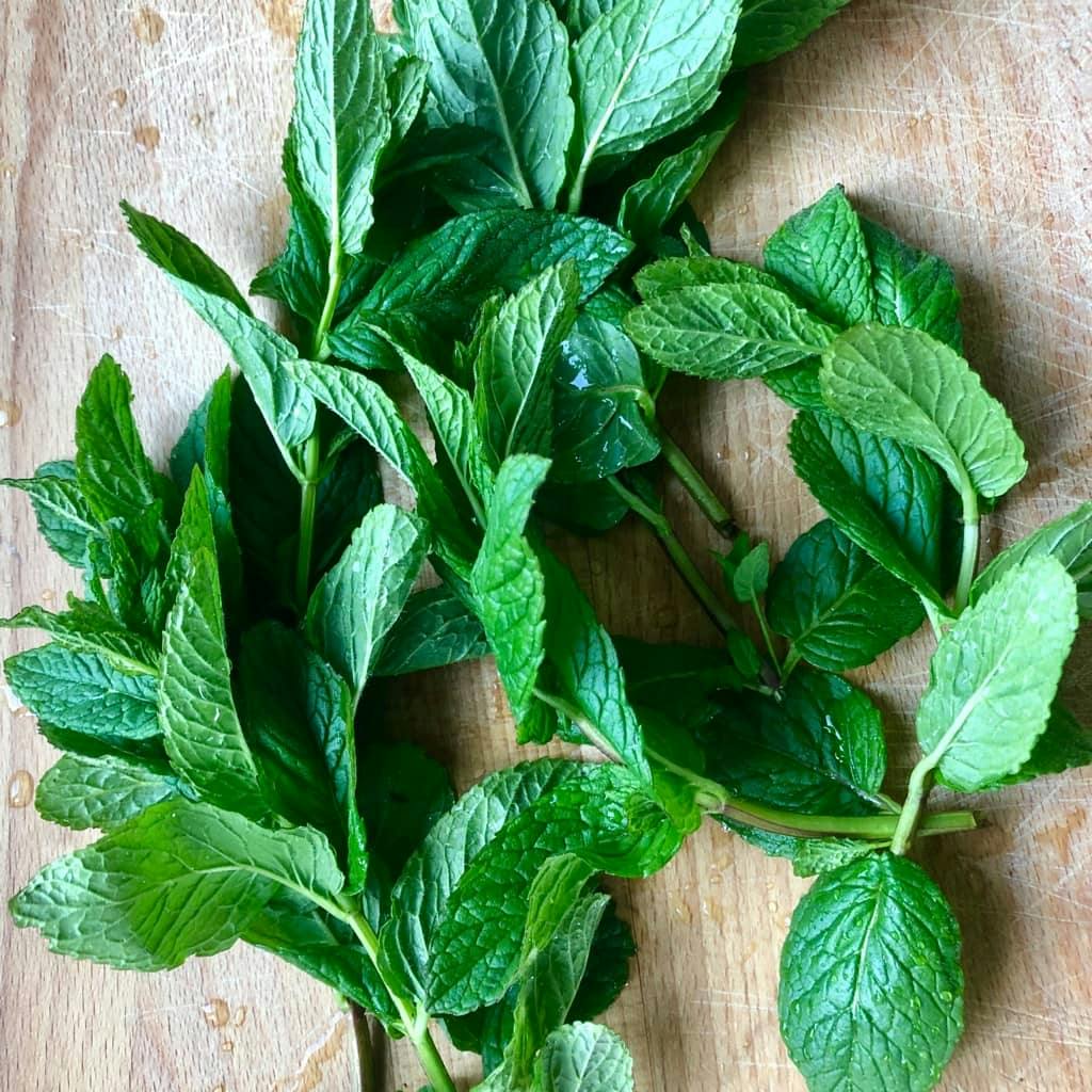 Mint — Spice, Use, Plant