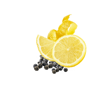 Zitronenschiebe und Schale mit schwarzem Pfeffer