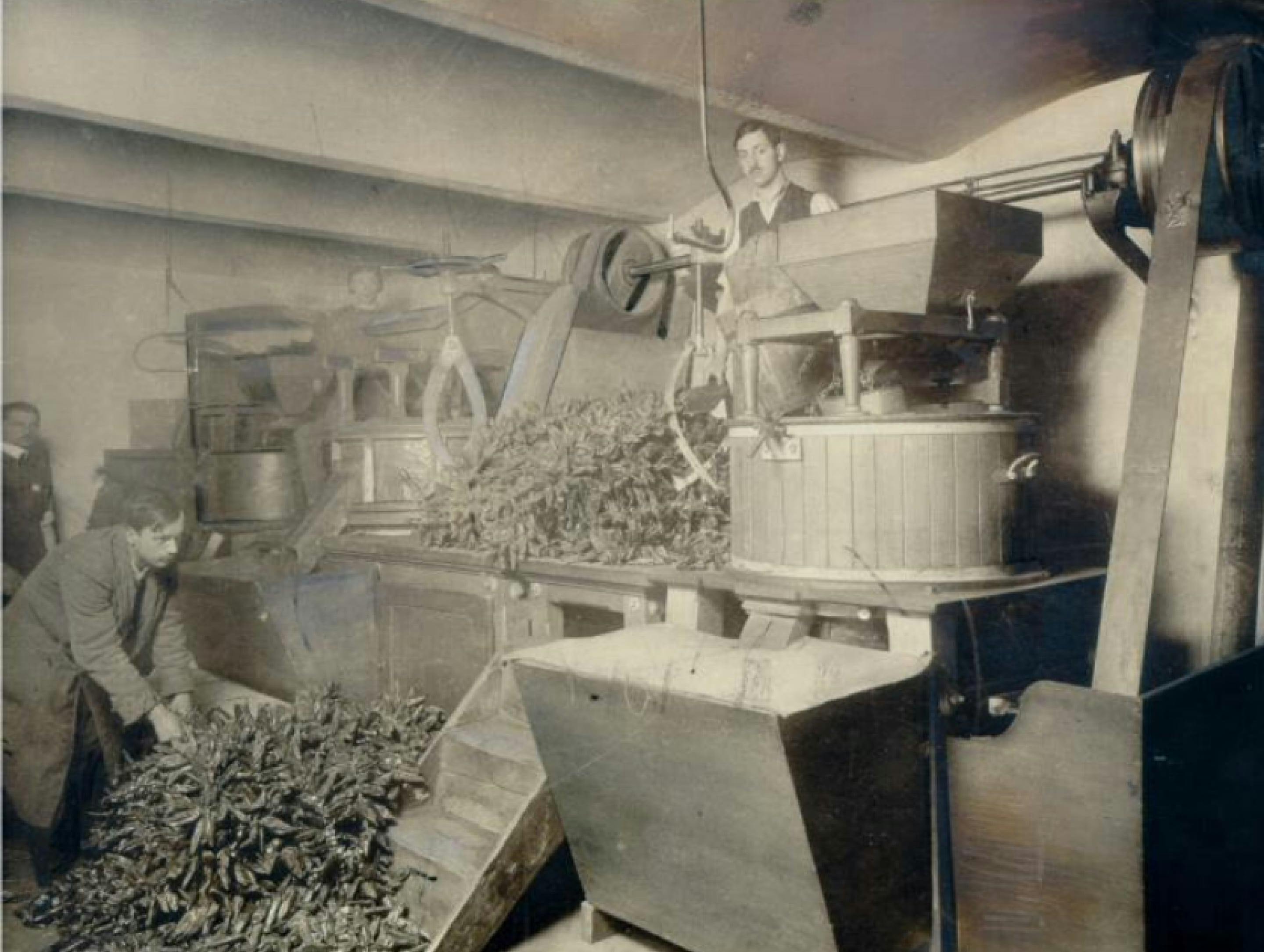 Black-and-white photograph: A Kotányi paprika mill from 1881