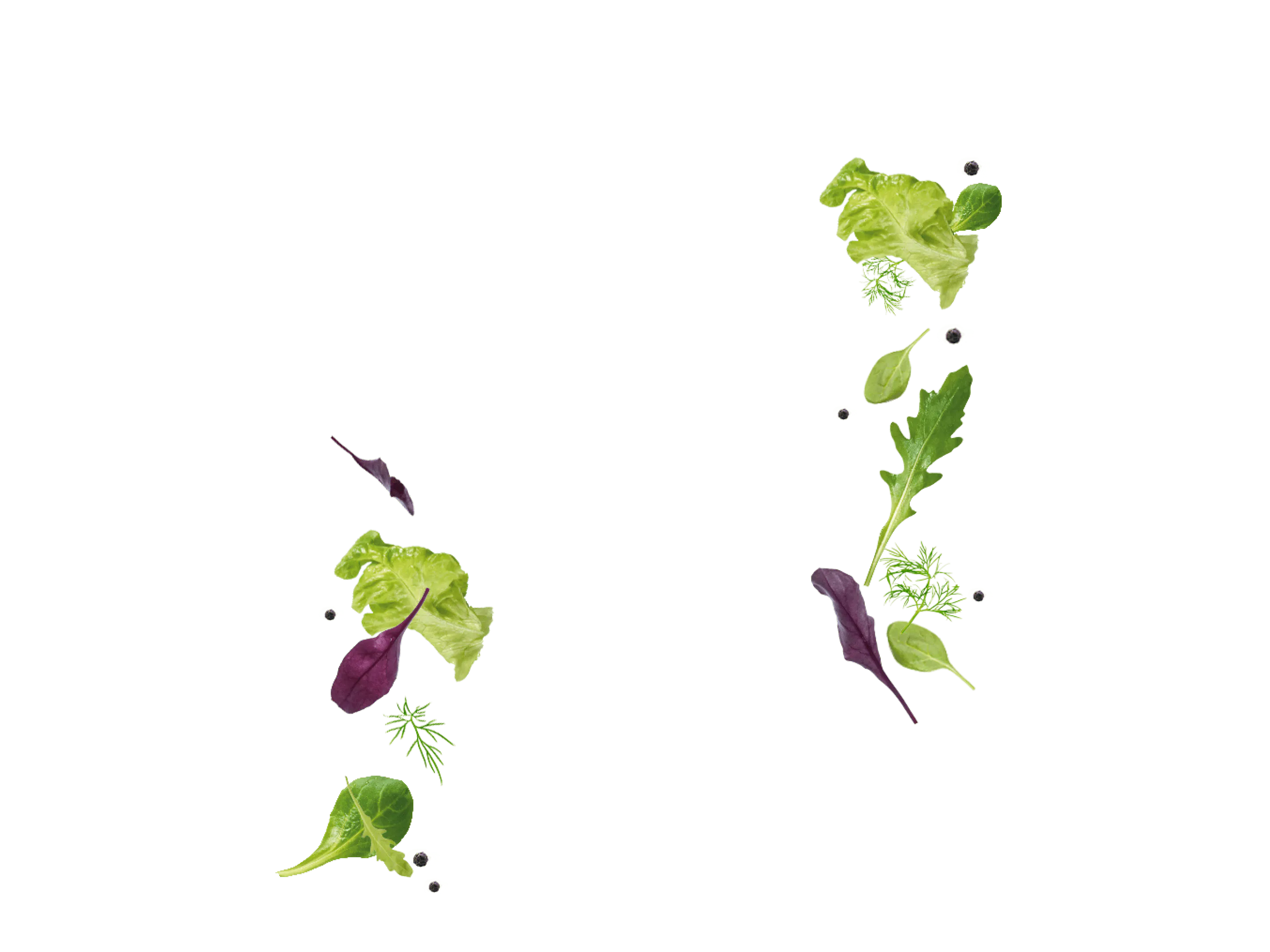 Hrdec Spice Up My Salad