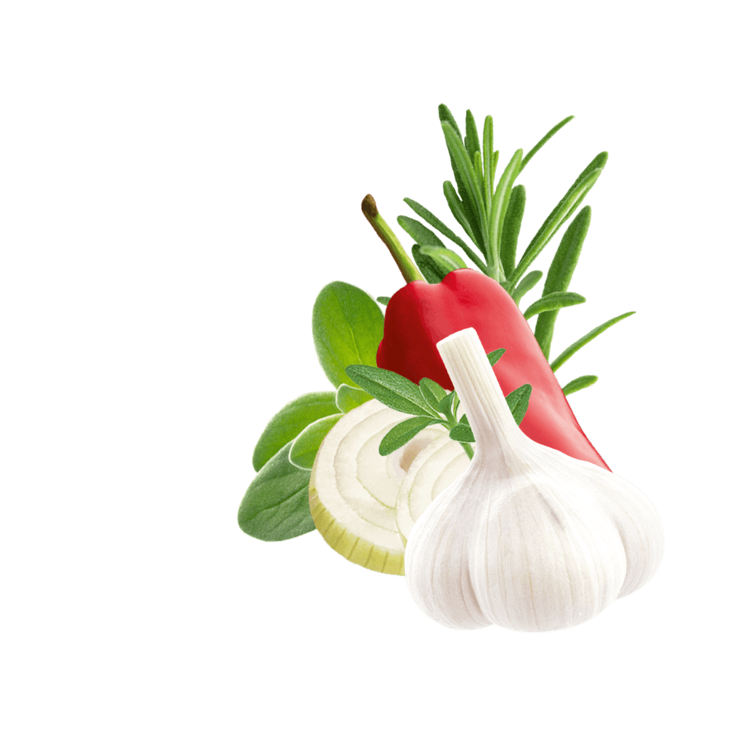 Rosemary, garlic, onion slices and oregano