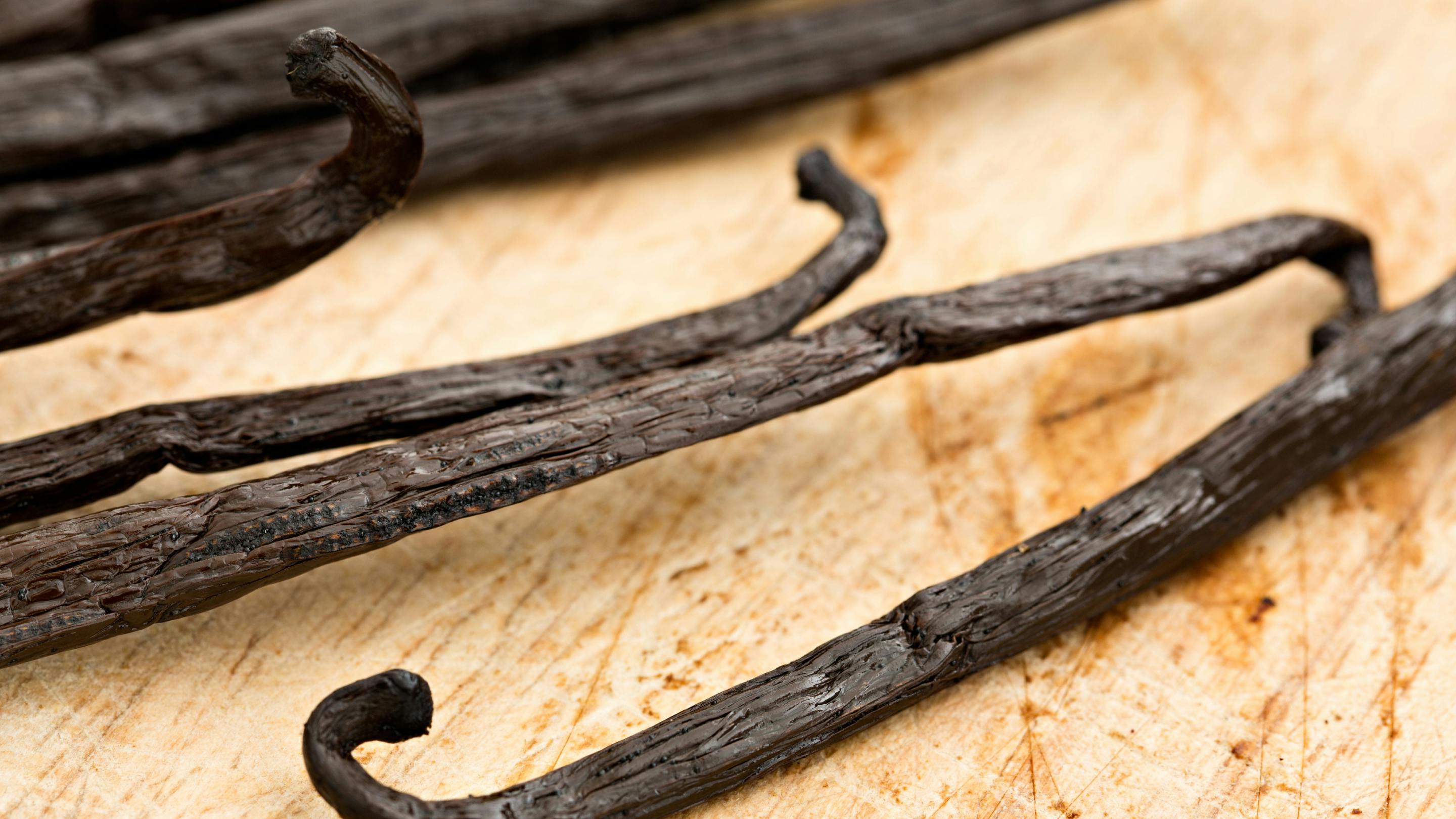 Dried vanilla