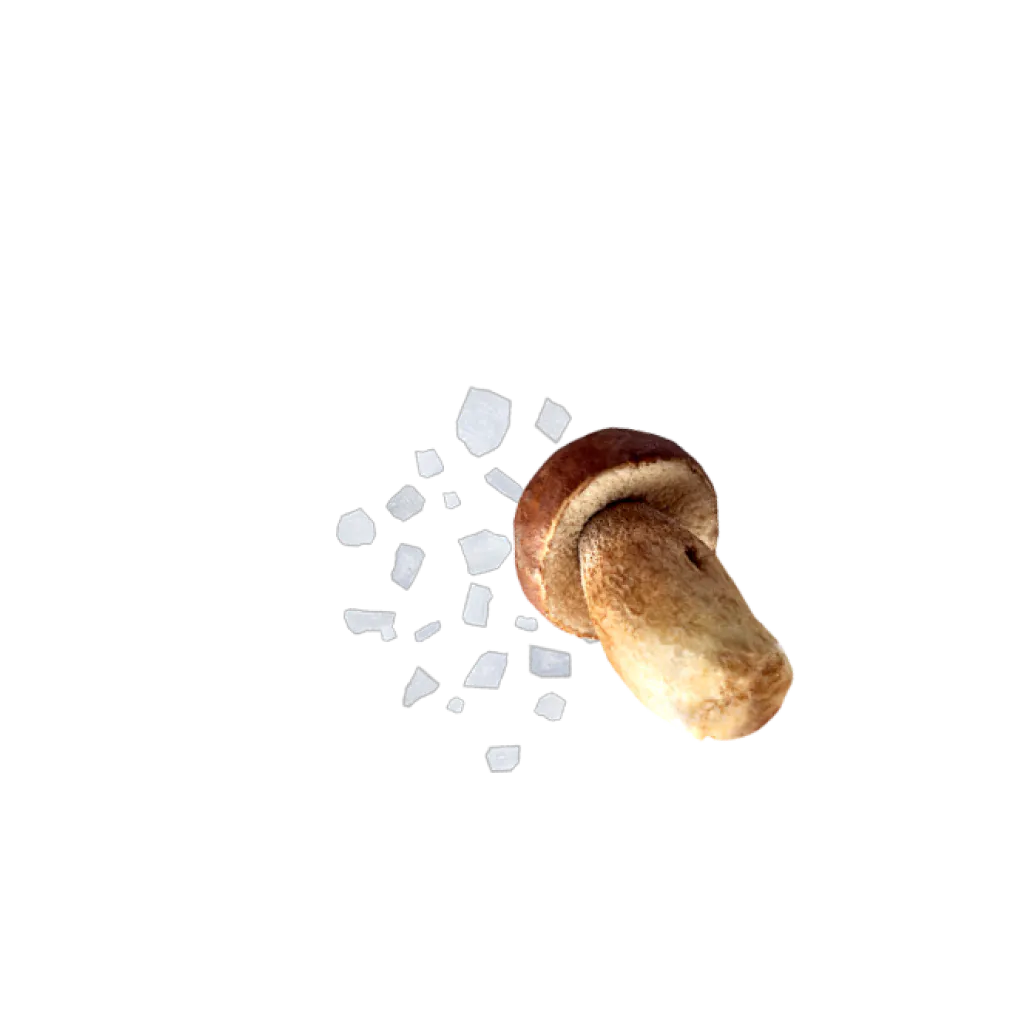 Content Trüffelmuehle