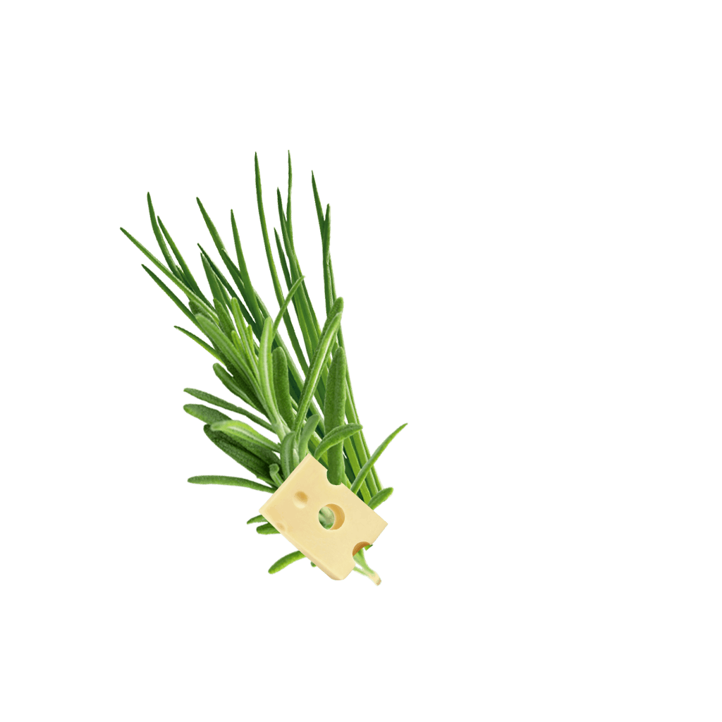 Crispypoh Sir Content 1